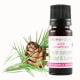 catalogue_actifs-cosmetiques_actif-concentre-eclat-lumiere