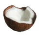 coco_fruits