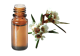 FT-Plante HE-Fragonia-removebg-preview