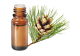 FT-Plante HE-Pin-sylvestre-removebg-preview
