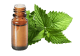 FT-Plante HE-Menthe-Poivree-Provence-removebg-preview