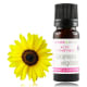 catalogue_actifs-cosmetiques_ceramides-vegetales