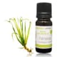 Huile Essentielle Palmarosa BIO