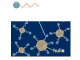 sf_emulsion_explication_shemahe