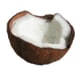 coco_fruits