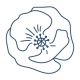 coquelicot