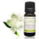 Huile essentielle Myrte rouge