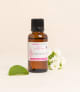 Actif cosmétique Coenzyme Q10
