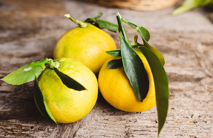 composition begamotto 2 900x584