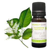 Huile essentielle Thym satureoïdes BIO