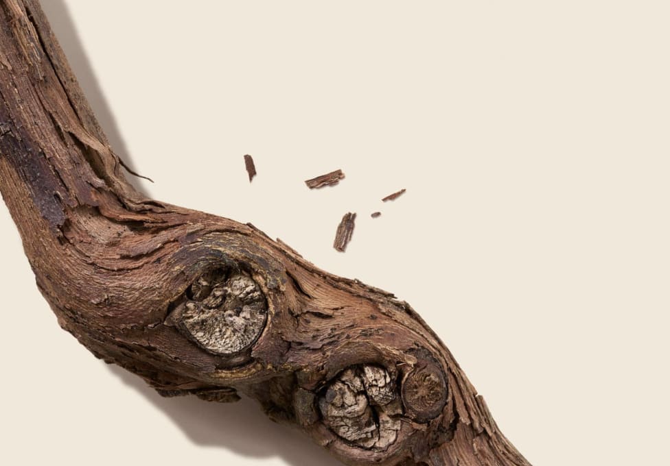 effet serre banner