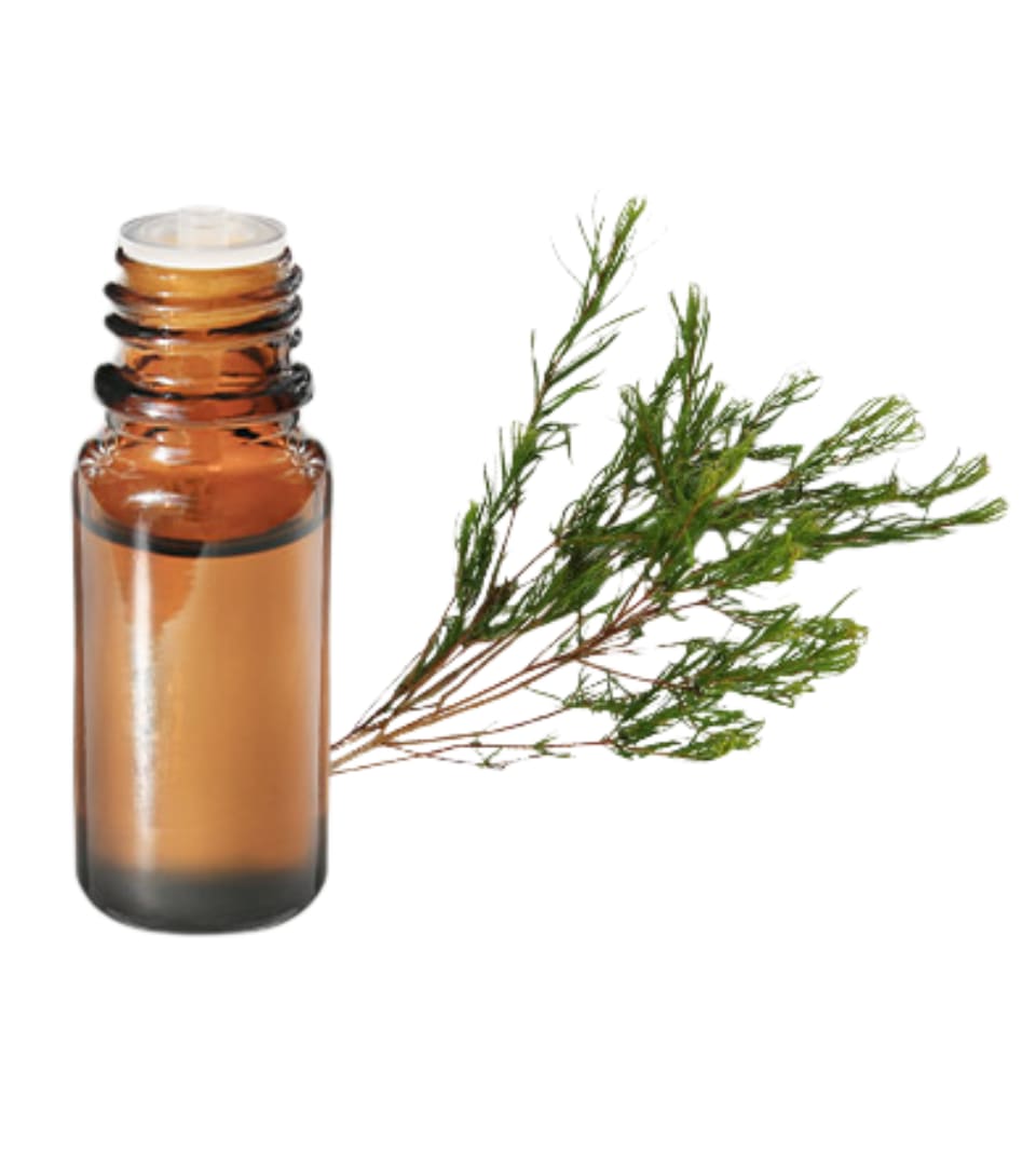 tea tree