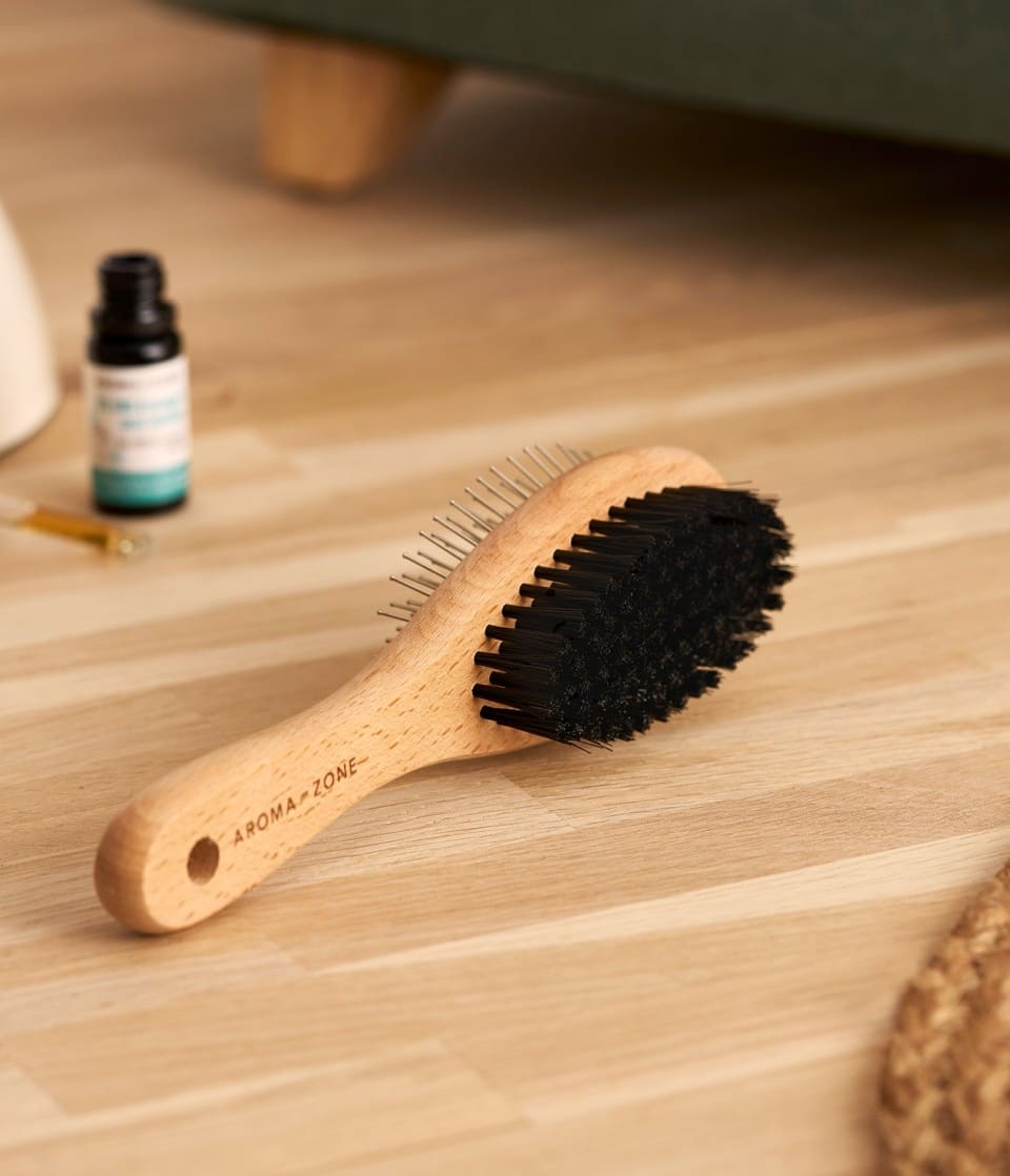 Banner MS Brosse-pour-Chien-et-Chat 2500px1566px