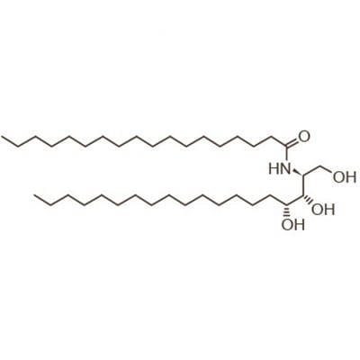molecule ceramide