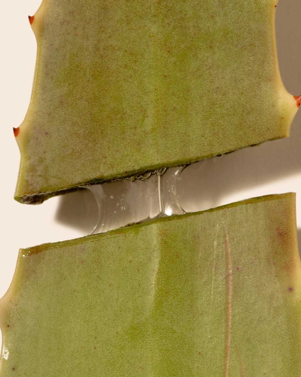 Aloe vera après soleil : Quels bienfaits ?
