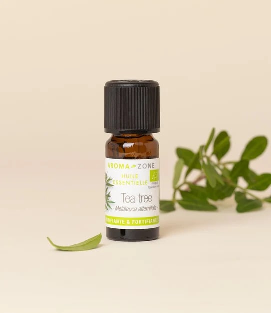 Huile essentielle de Tea tree (Arbre à Thé BIO)