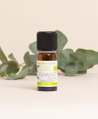 Huile essentielle Eucalyptus globulus BIO