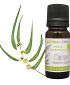 Huile essentielle Cajeput BIO