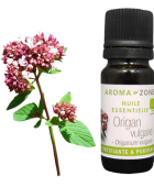 Huile essentielle Origan vulgaire BIO