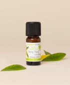 Huile essentielle Ylang-Ylang complète BIO