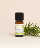Olio essenziale di Rosmarino verbenone della Corsica BIO
