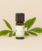 Huile essentielle Ravintsara (Ravintsare) BIO