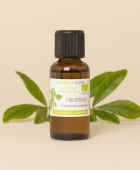 Huile essentielle Ravintsara (Ravintsare) BIO