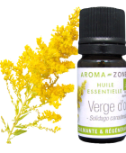 Olio essenziale di Verga d'oro BIO