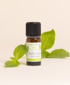Huile essentielle Basilic tropical BIO