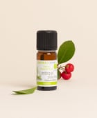 Huile essentielle Lentisque pistachier BIO