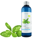 Idrolato di Basilico linalolo BIO