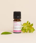 Coenzyme Q10 Active Ingredient