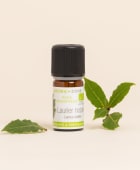 Olio essenziale di Alloro BIO