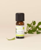 Huile essentielle Tea tree (Arbre à Thé BIO)