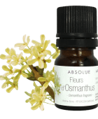 Absolue de fleurs d'Osmanthus