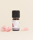 Assoluta di Rosa damascena