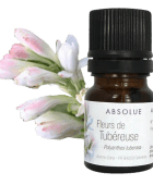 Absolue de fleurs de Tubéreuse