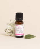 Plant-Based Collagen Active Ingredient