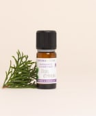 Fragrance naturelle Bois d'Hinoki