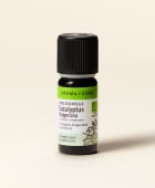 Olio essenziale Eucalipto staigeriana BIO