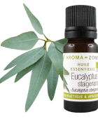 Huile essentielle Eucalyptus staigeriana BIO