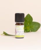 Olio essenziale Salvia sclarea di Provenza BIO