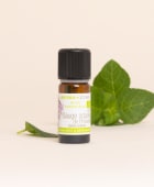 Olio essenziale Salvia sclarea di Provenza BIO
