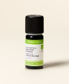 Huile essentielle Sauge sclarée de Provence BIO