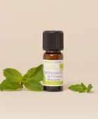 Organic Provençal Peppermint Essential Oil