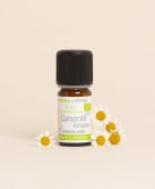 Huile essentielle Camomille romaine France BIO