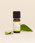 Huile essentielle Estragon BIO