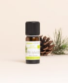 Olio essenziale di Pino silvestre BIO