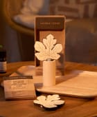 Diffuseur par capillarité d'huiles essentielles en bois