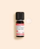Actif cosmétique Peptides de collagène vegan
